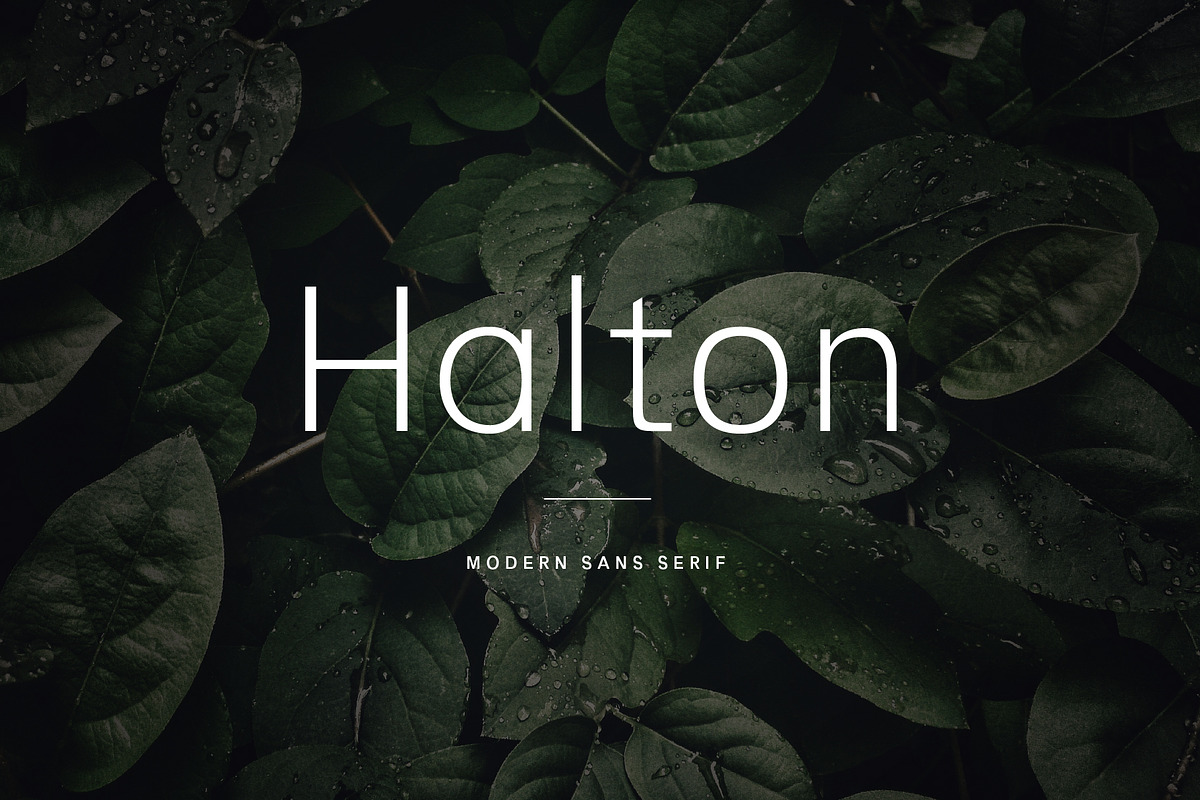 Halton - Modern Sans Serif Typeface, a Sans Serif Font by Cassandra Cappello (Photo 1 of 5)
