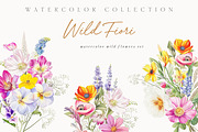 New! Wild Flowers Edition, a Seasonal Illustration by Isabelle Salem (Thumbnail 129 of 155)