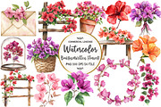 Bougainvillea Flower Clipart, an Illustration by OK Design (Thumbnail 1 of 5)