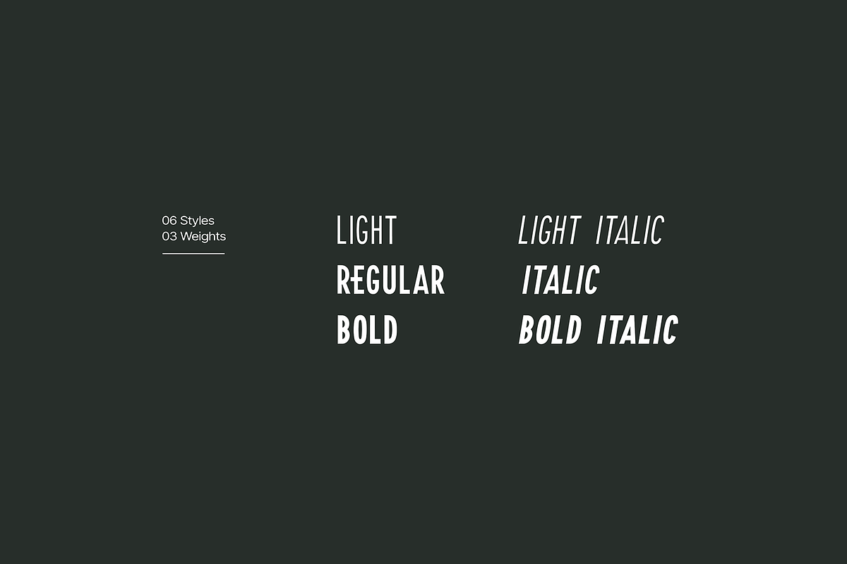 FREIGEL - Unique Display Font Family, a Sans Serif Font by Designova® (Photo 10 of 10)