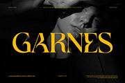 Garnes Unique Serif Font, a Serif Font by Perfectype (Thumbnail 1 of 8)