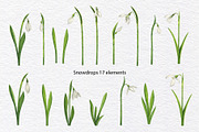 Watercolor wild spring flowers set, a Decorative Illustration by KathrineWatercolor (Thumbnail 2 of 10)