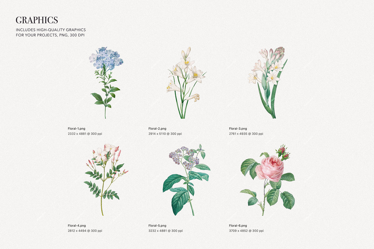 Botanical Nature English Pattern, a Pattern Graphic by likorbut (Photo 5 of 10)