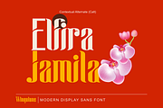 Wingstone, a Sans Serif Font by Omotu Studio (Thumbnail 8 of 12)
