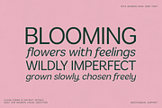 Vexa Modern Sans Serif Font, a Sans Serif Font by Only Fonts (Thumbnail 7 of 12)
