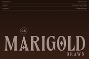 CS Marigold Drawn, a Serif Font by Craft Supply Co. (Thumbnail 1 of 8)
