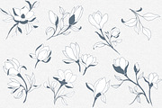Hand Sketched Magnolia, a Decorative Illustration by Solana (Thumbnail 2 of 10)