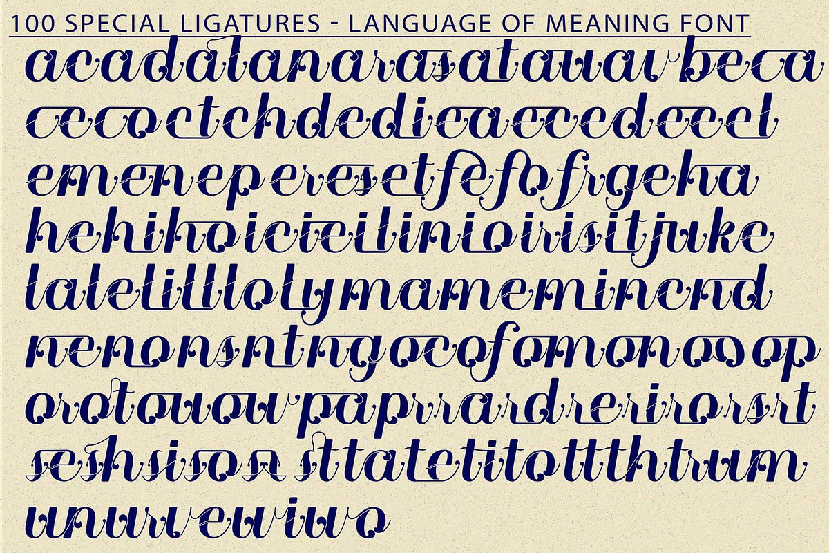 Language of Meaning - Elegant Font, a Serif Font by 177Studio (Photo 7 of 8)