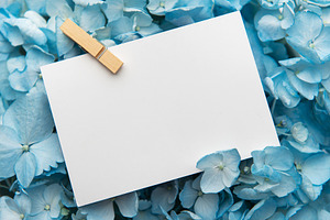 Blank card with clothespin on blue hydrangea flowers, a Background Photo by Olena Rudo