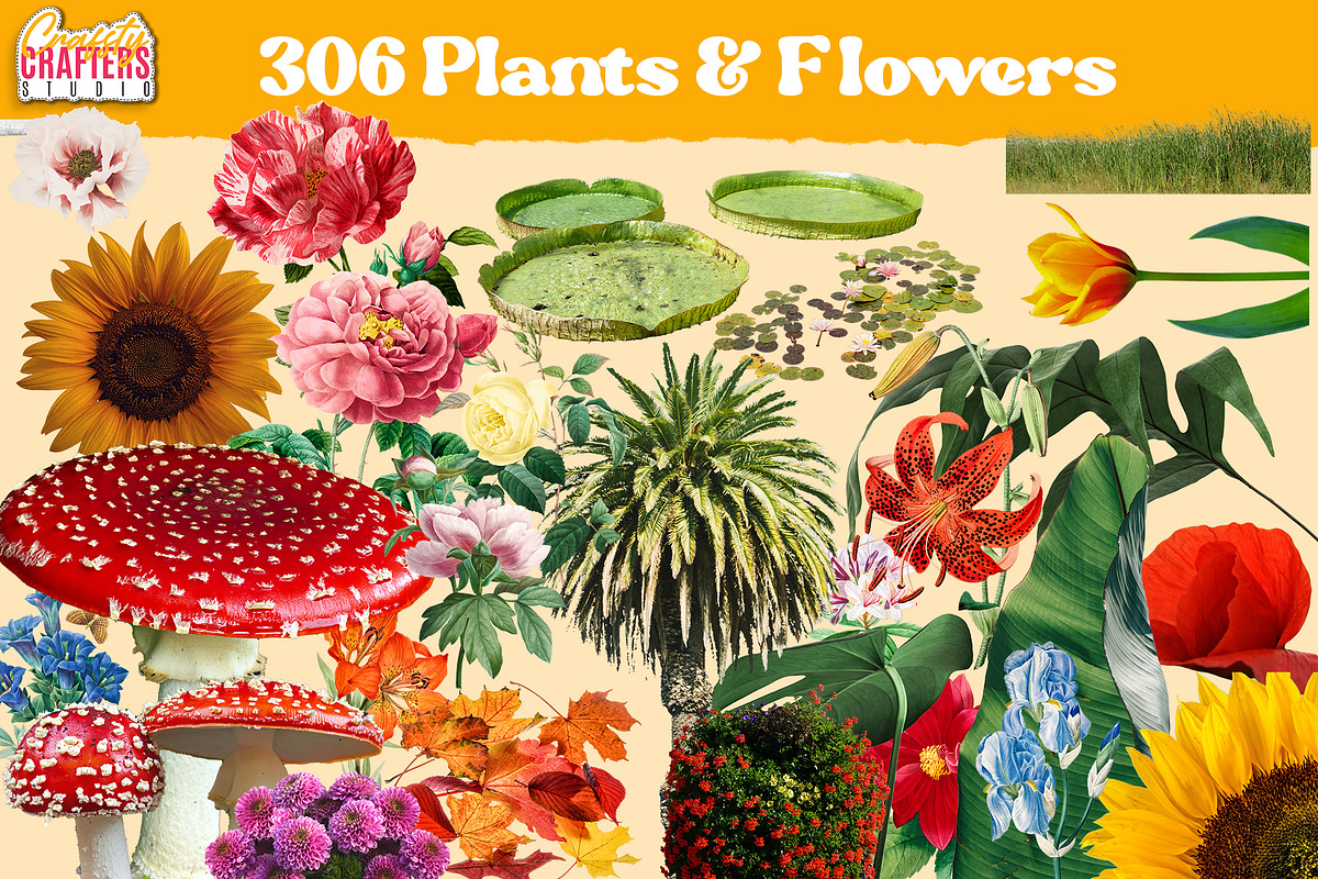 Vintage Collage Kit 2837+ Elements 6685351 pic5