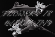 Starlight - Decorative display font, a Script Font by Setara Langit CreativeStd (Thumbnail 8 of 12)