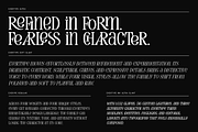 Evertype - Display Serif Font Family, a Serif Font by VP Fonts (Thumbnail 30 of 32)
