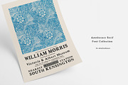 Apothecary Serif Font Collection, a Serif Font by pixelcolours (Thumbnail 3 of 14)