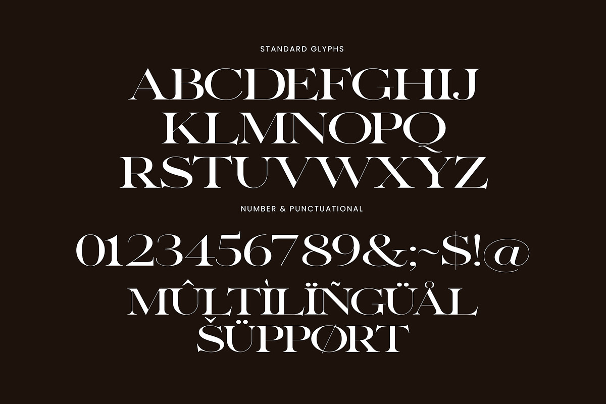 Buger Elegant Serif Font Typeface, a Serif Font by Perfectype (Photo 7 of 7)