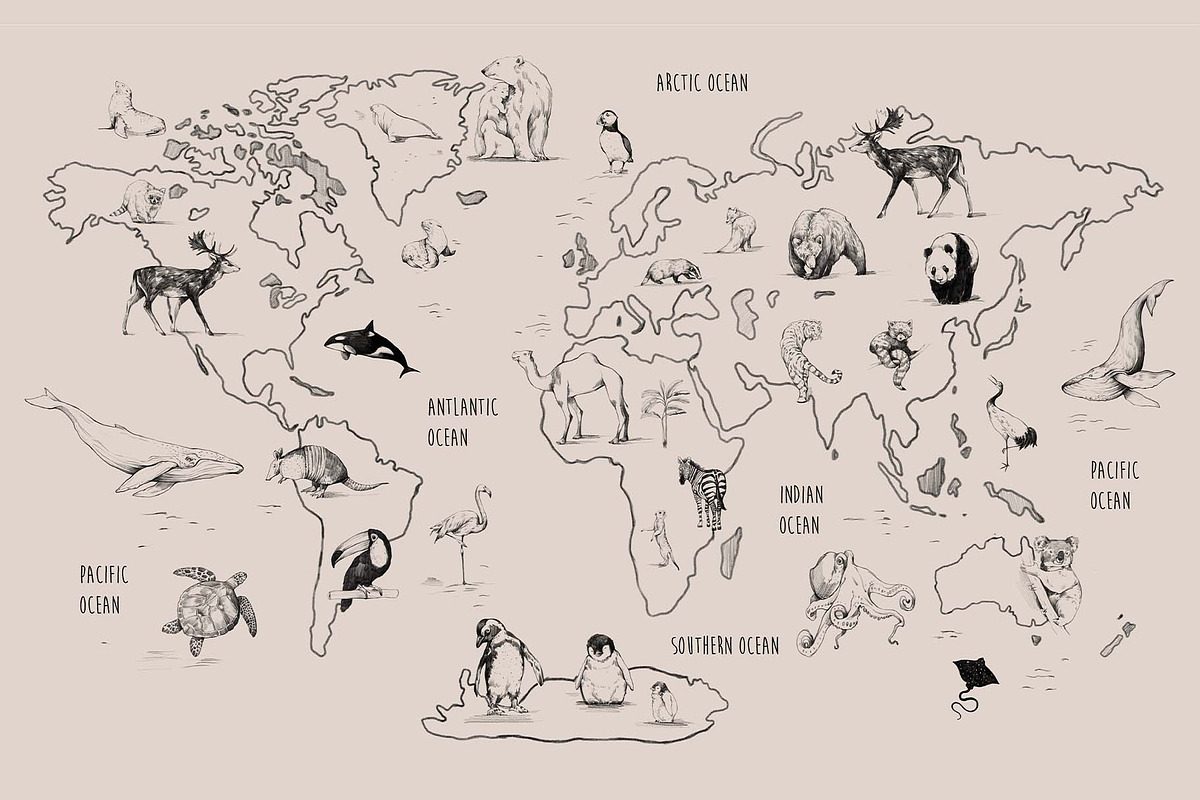 Animal World Map Creator, an Animal Illustration by Natalia Tugova (Photo 11 of 17)