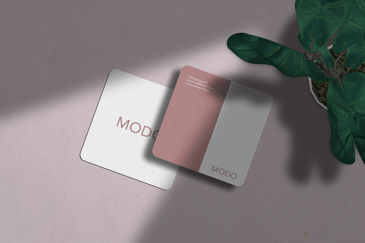 Modo - Business Card Scene Creator, a Packaging Mockup by Defa Visual (Photo 4 of 10)