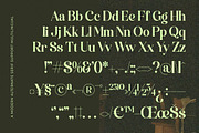 Funky Nights Vintage Modern Serif, a Serif Font by timelesstype.co (Thumbnail 15 of 15)