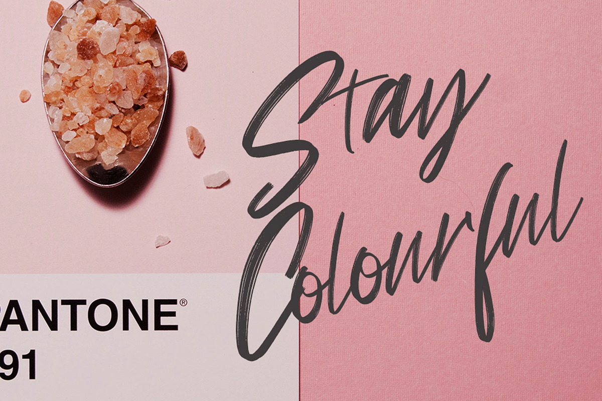 Frequency Brush Font, a Script Font by Analogous (Photo 4 of 5)