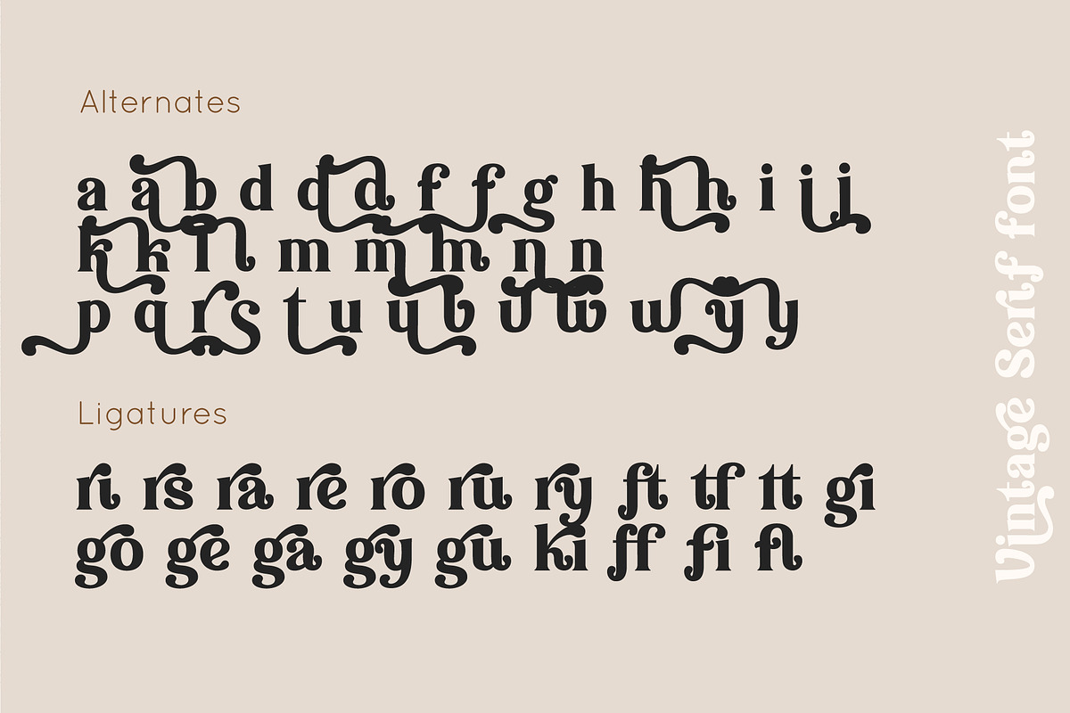 Vintage font, a Serif Font by Anna Zakharchenko (Photo 18 of 20)