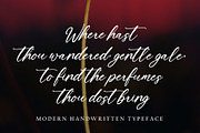 Eurotica, a Handwritten Font by pineungtype (Thumbnail 1 of 7)