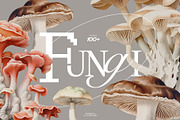 Fungi - botanical illustrations, an Object Graphic by AI Crafted Magnolia (Thumbnail 1 of 13)