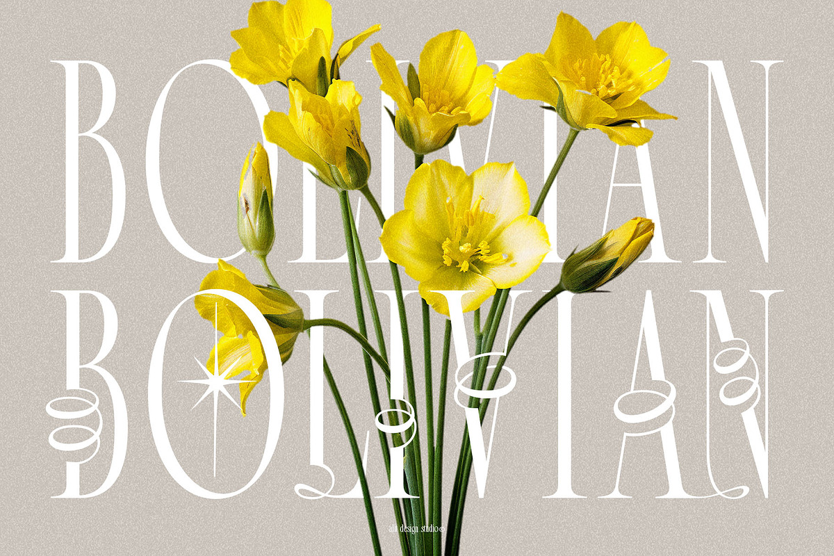 Broshock Typeface, a Serif Font by alit design (Photo 5 of 20)