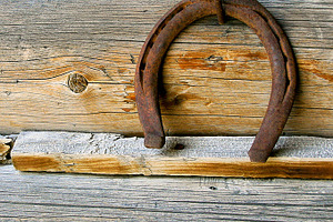 Vertical lucky horseshoe containing aged, element, and equestrian