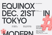 TT Rustic Grotesque Sans, a Sans Serif Font by truetype (Thumbnail 2 of 15)