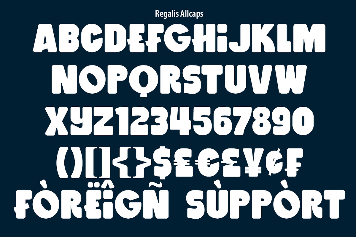 Regalis - Chunky Bold Type, a Sans Serif Font by NuType (Photo 2 of 12)