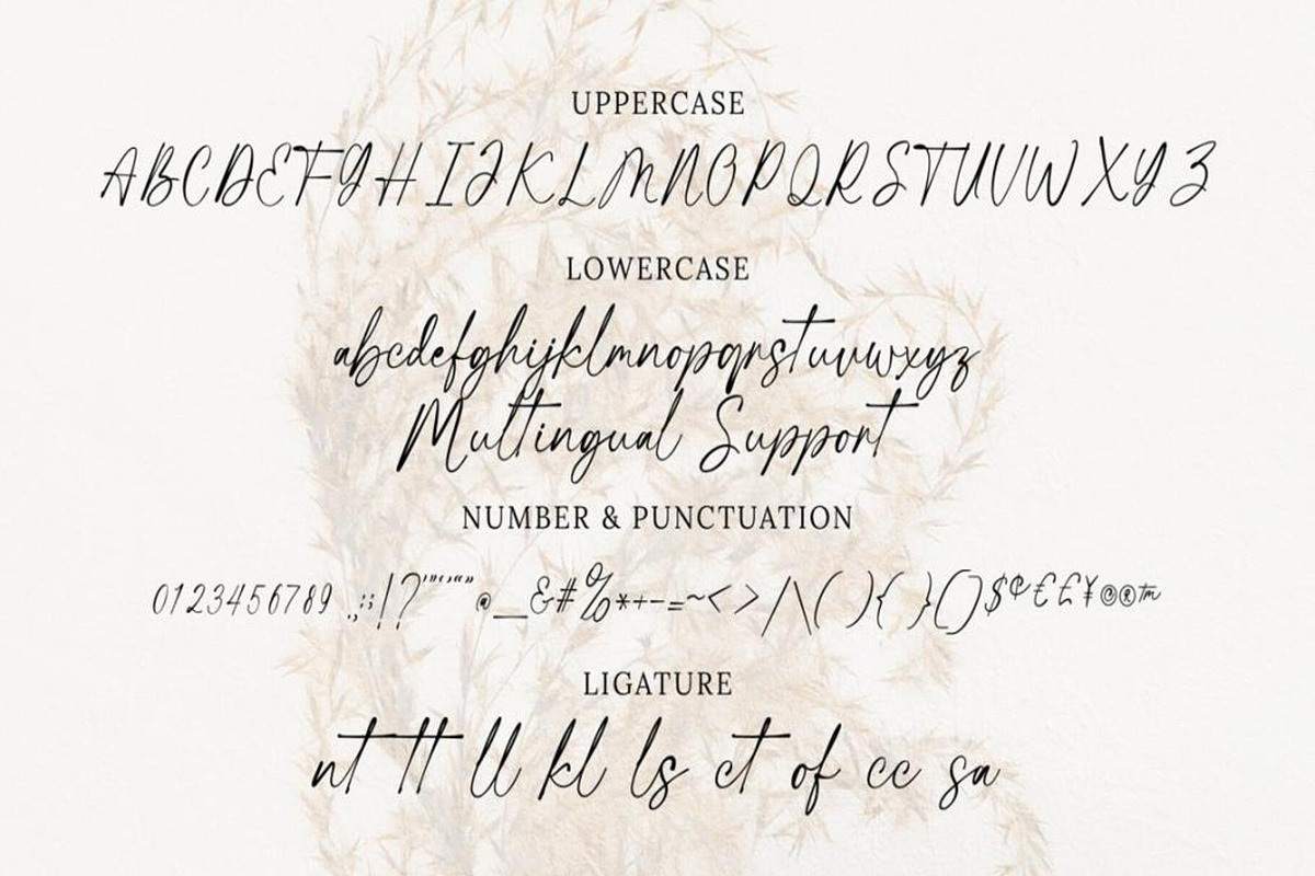 Rochetha Signature Font, a Script Font by Muwatta Studio (Photo 20 of 21)