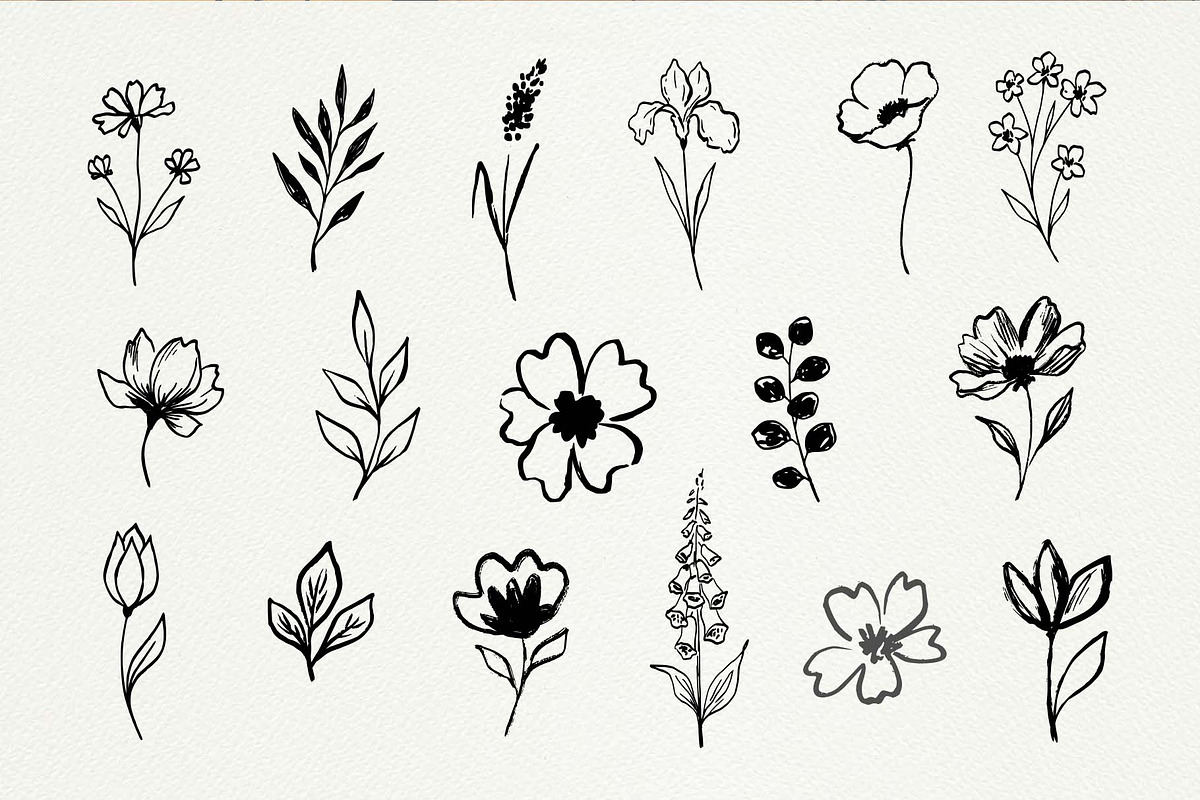 Hand Drawn Ink Botanical Elements, a Decorative Illustration by Irina Ostapenko (Photo 4 of 10)