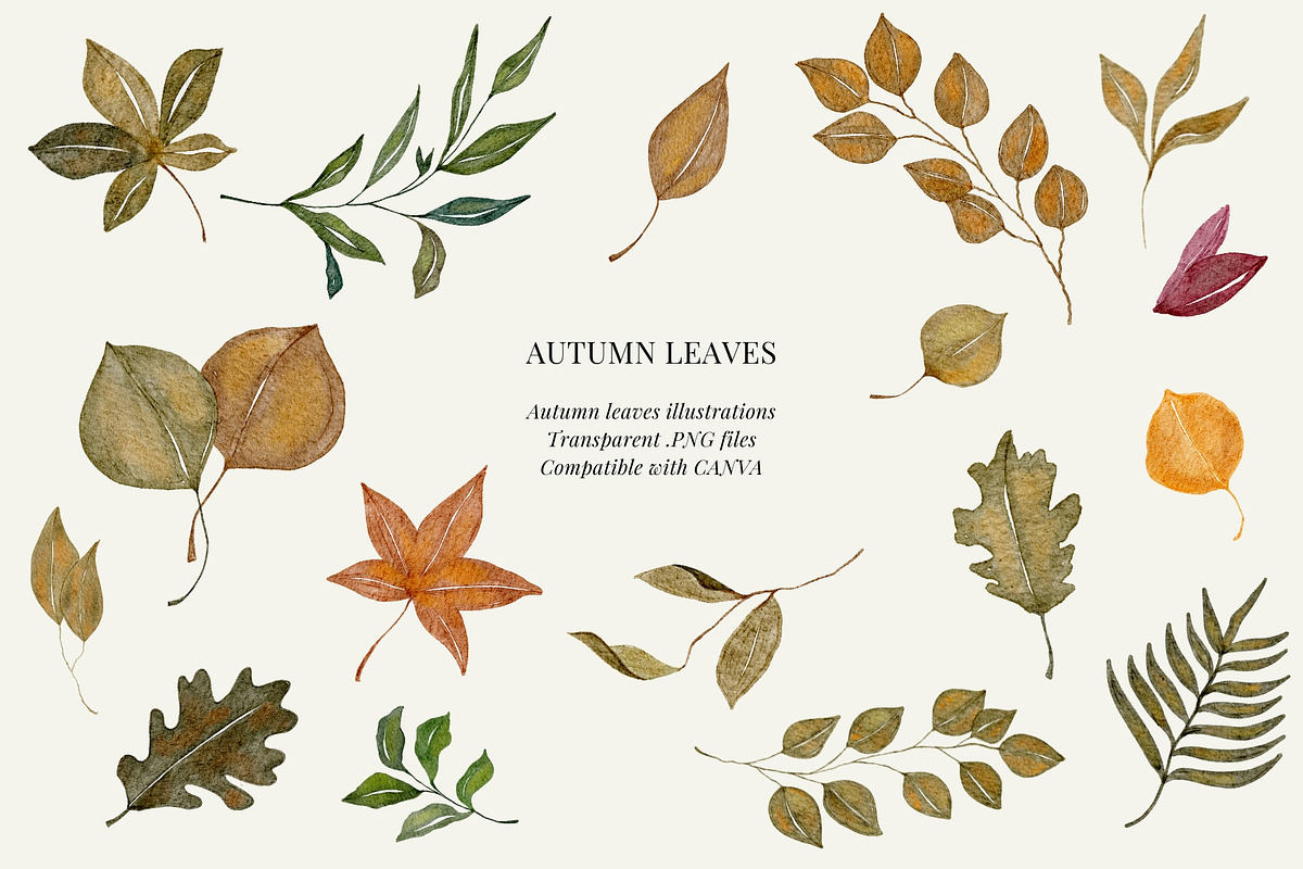 Fall watercolor illustrations, a Seasonal Illustration by AS Studio (Photo 1 of 5)