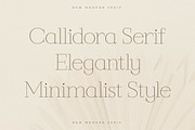 Callidora New Modern Serif, a Serif Font by Storytype Studio (Thumbnail 2 of 15)