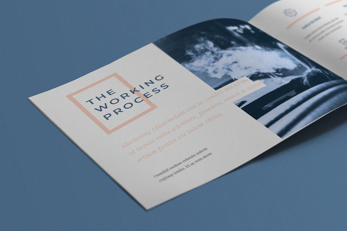 X-Pro Brochure, a Brochure Template by Estartshop (Photo 11 of 13)