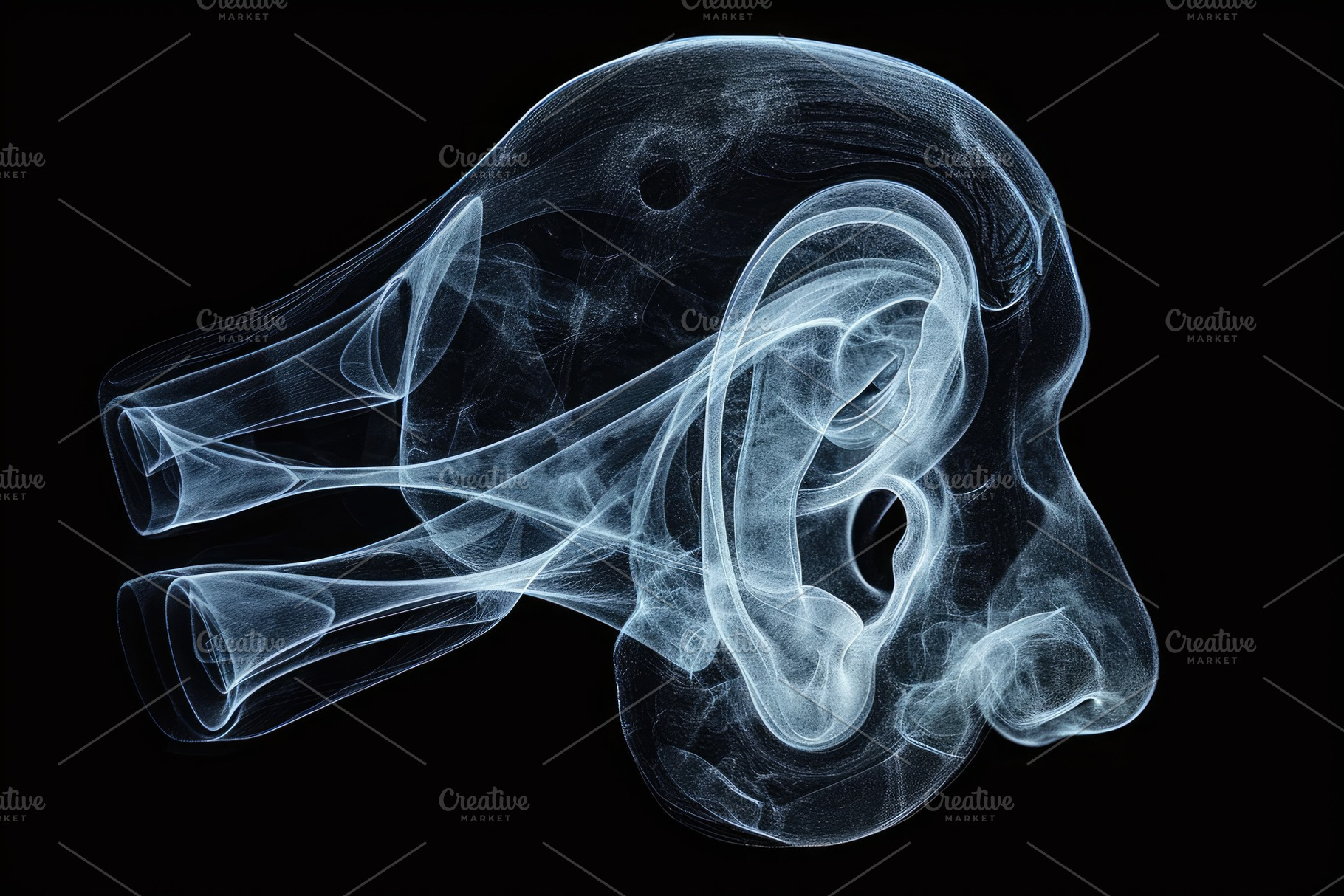 This x-ray image captures the inner, a Photo by Iftikhar Alam
