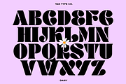 TAN - DAISY, a Serif Font by TanType (Thumbnail 8 of 14)