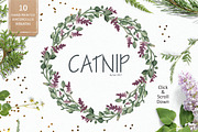 Catnip, a Texture Illustration by Soir Creative | Creative Market image.