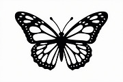 butterfly laser cut design, an Illustration by Designer_Momina (Thumbnail 6 of 13)