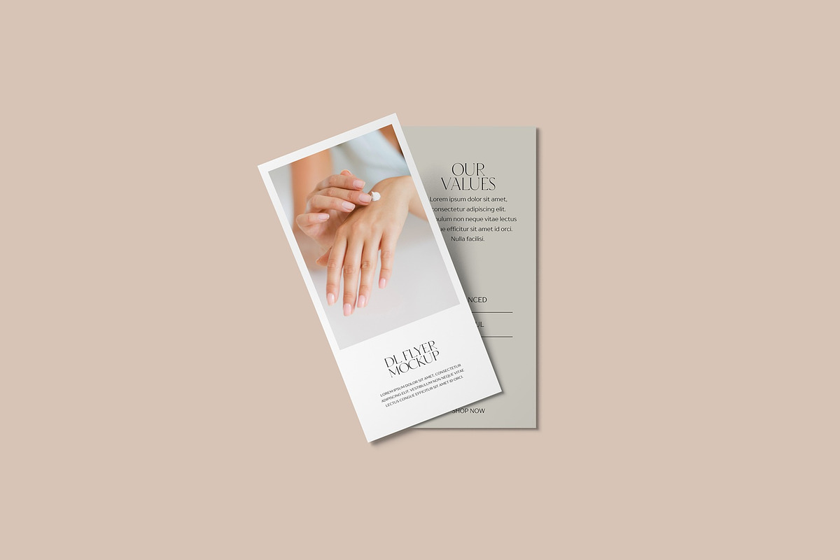 DL Brochure Mockup preview 3