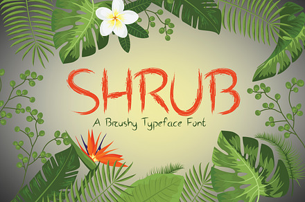 Shrub Brushy Font, a Handwritten Font by zahidhossainalif