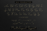 Adelya - Elegant Signature Font, a Script Font by Craft Supply Co. (Thumbnail 9 of 12)