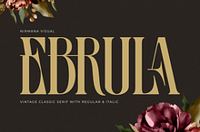 Ebrula Vintage - Classic Serif Font