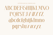 Evaida, a Serif Font by Kenrichi (Thumbnail 8 of 11)
