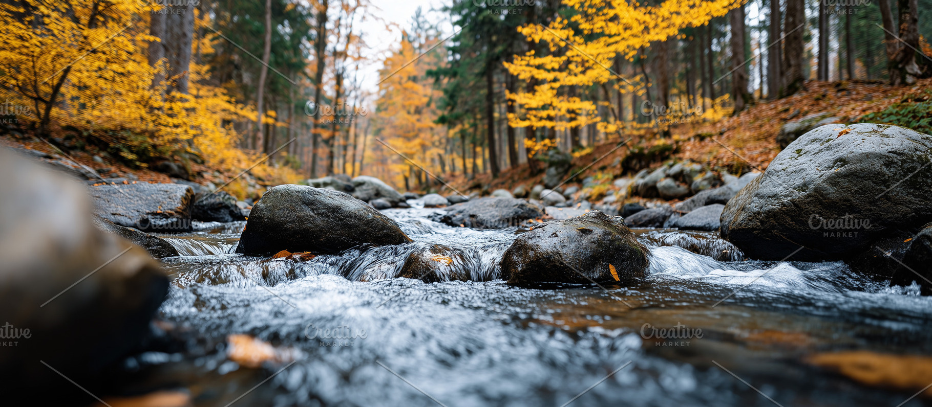 Beautiful autumn forest river with, a Nature Photo by MistyDay