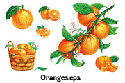 Fruits and berries collection_part 1, an Illustration by ZotovShop (Thumbnail 11 of 20)