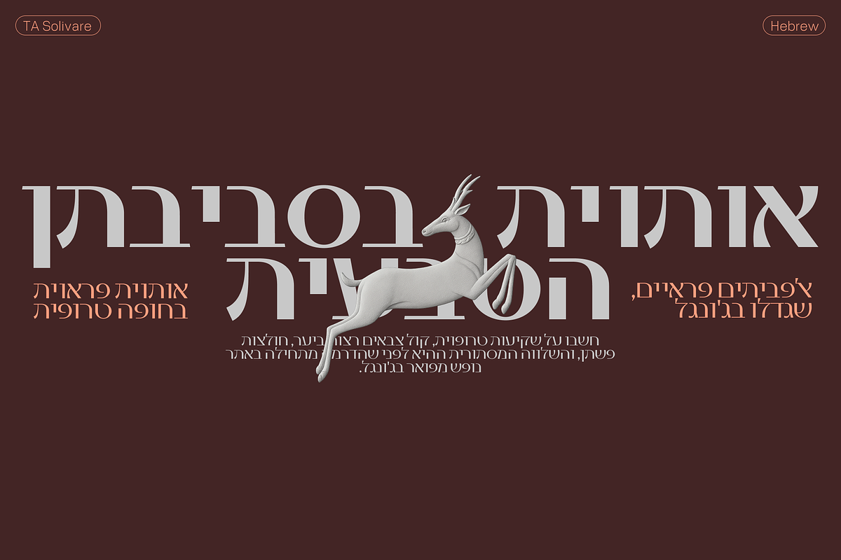 TA Solivare Variable, a Sans Serif Font by TAFT Foundry (Photo 2 of 15)