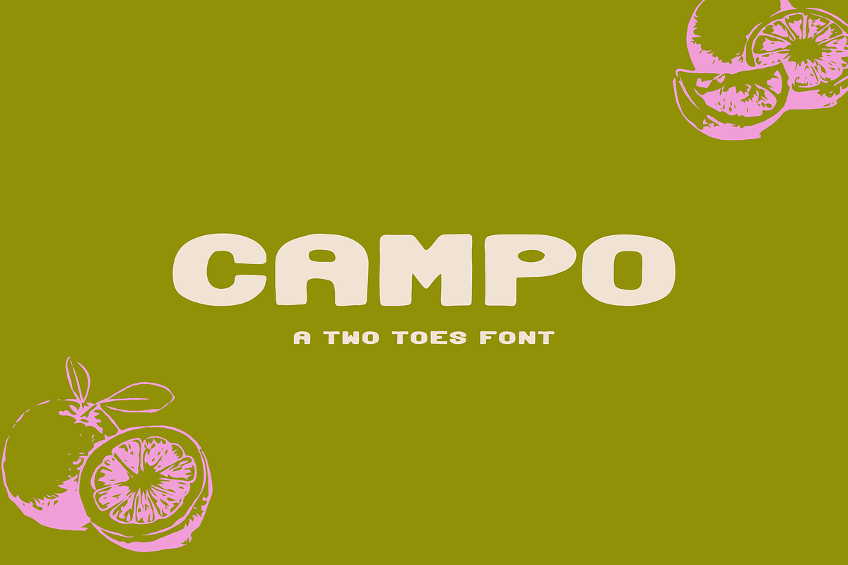Campo, a Sans Serif Font by Two Toes Creative (Photo 1 of 6)