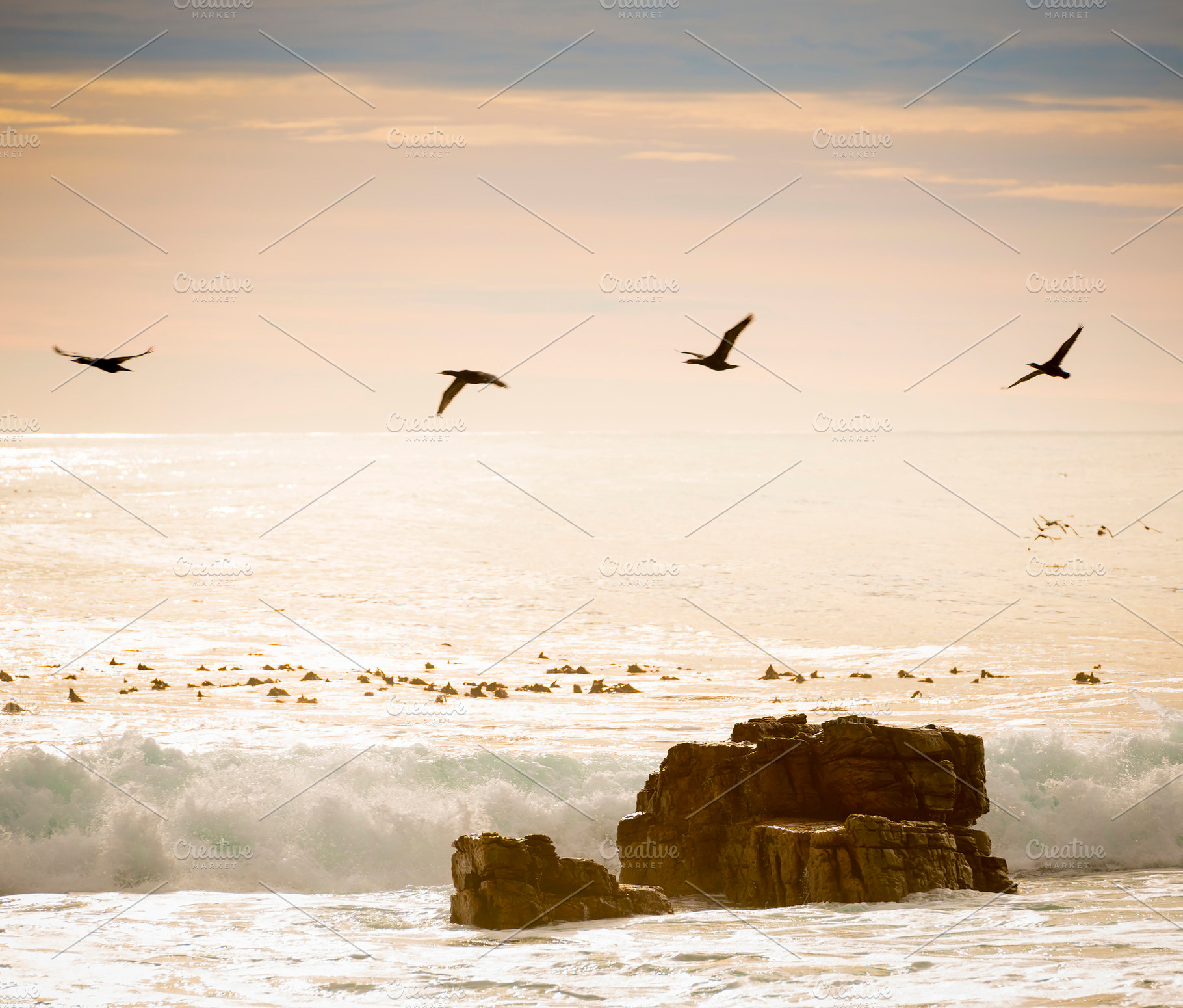 Birds Flying Over Ocean, an Animal Photo by THP Creative