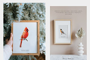 Birds of North America watercolor, an Animal Illustration by Diana Askarova Art (Thumbnail 5 of 9)