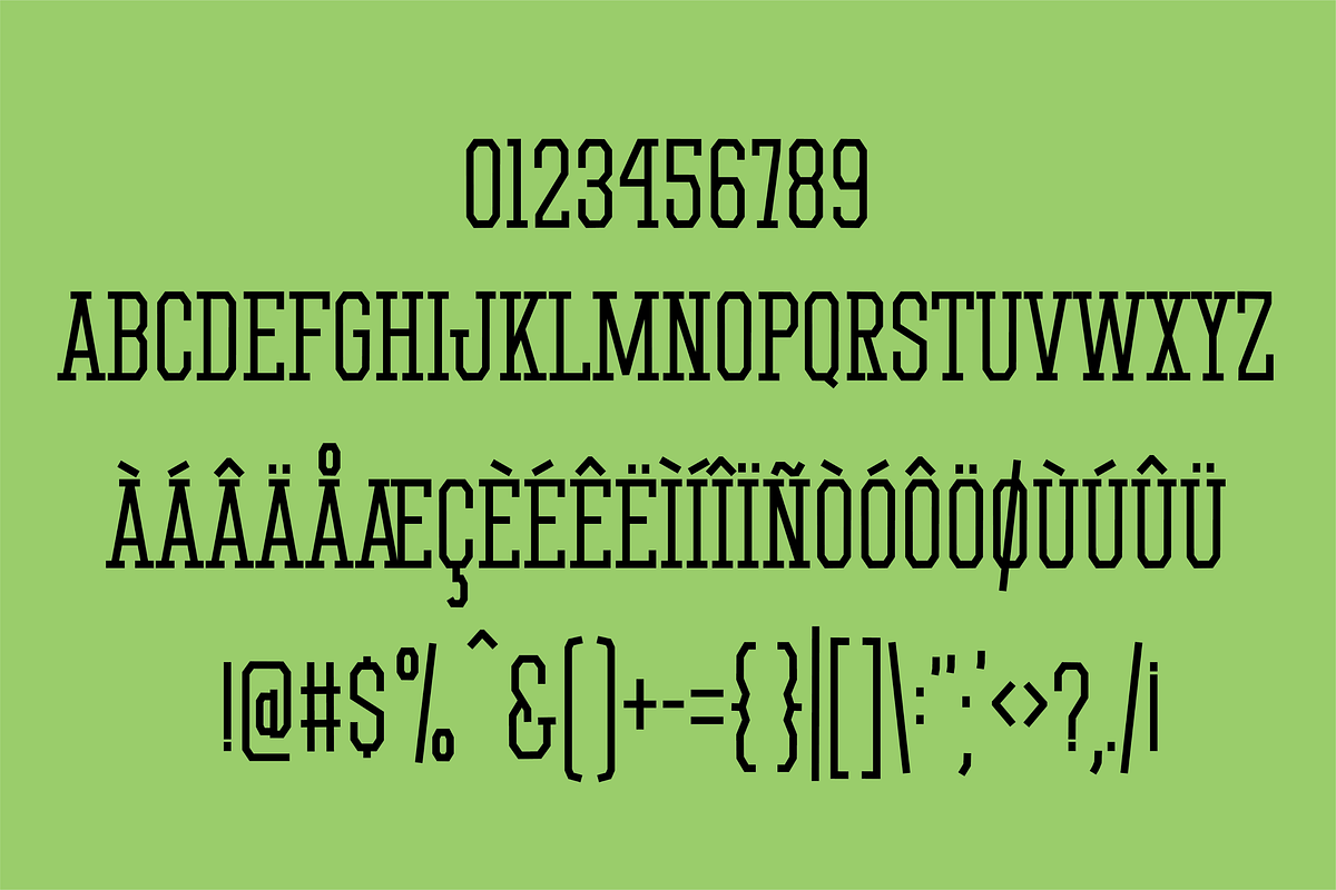 Home Field, a Serif Font by Kitaleigh (Photo 2 of 2)